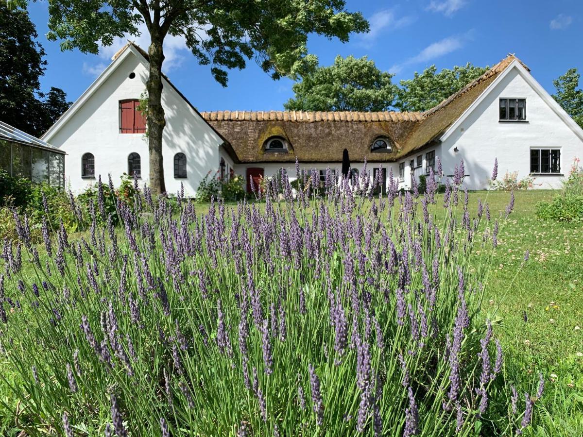 Mariegaardens Gaestehuse Хиллерёд Экстерьер фото