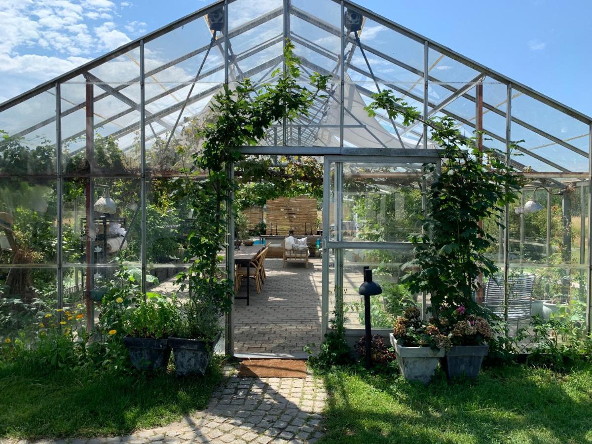 Mariegaardens Gaestehuse Хиллерёд Экстерьер фото